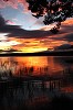 Sunset and Reeds